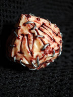 Die Würfel des Auges von Cthulhu