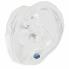 Titanium 3D Shell Stud | Cute Summer Ocean Cartilage & Lip Piercing