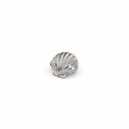 Titanium 3D Shell Stud | Cute Summer Ocean Cartilage & Lip Piercing