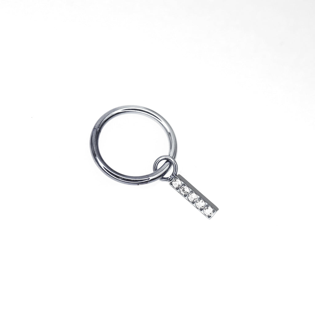 Titanium Segment Hoop with Baguette CZ - Titanium Segment Hoop with Baguette CZ - Silver / 6mm by CRUXJEWELRY