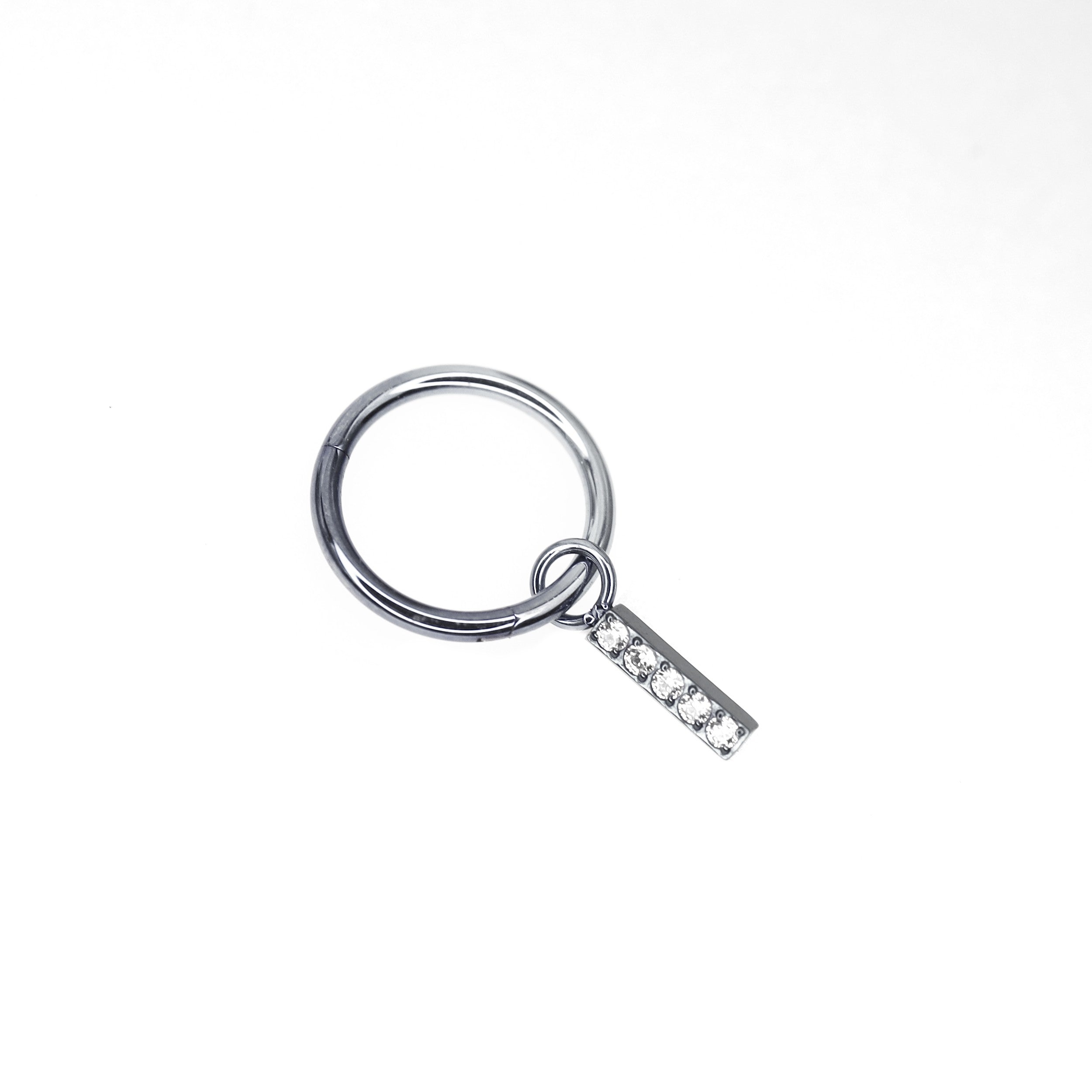 Titanium Segment Hoop with Baguette CZ - Titanium Segment Hoop with Baguette CZ - Silver / 6mm by CRUXJEWELRY