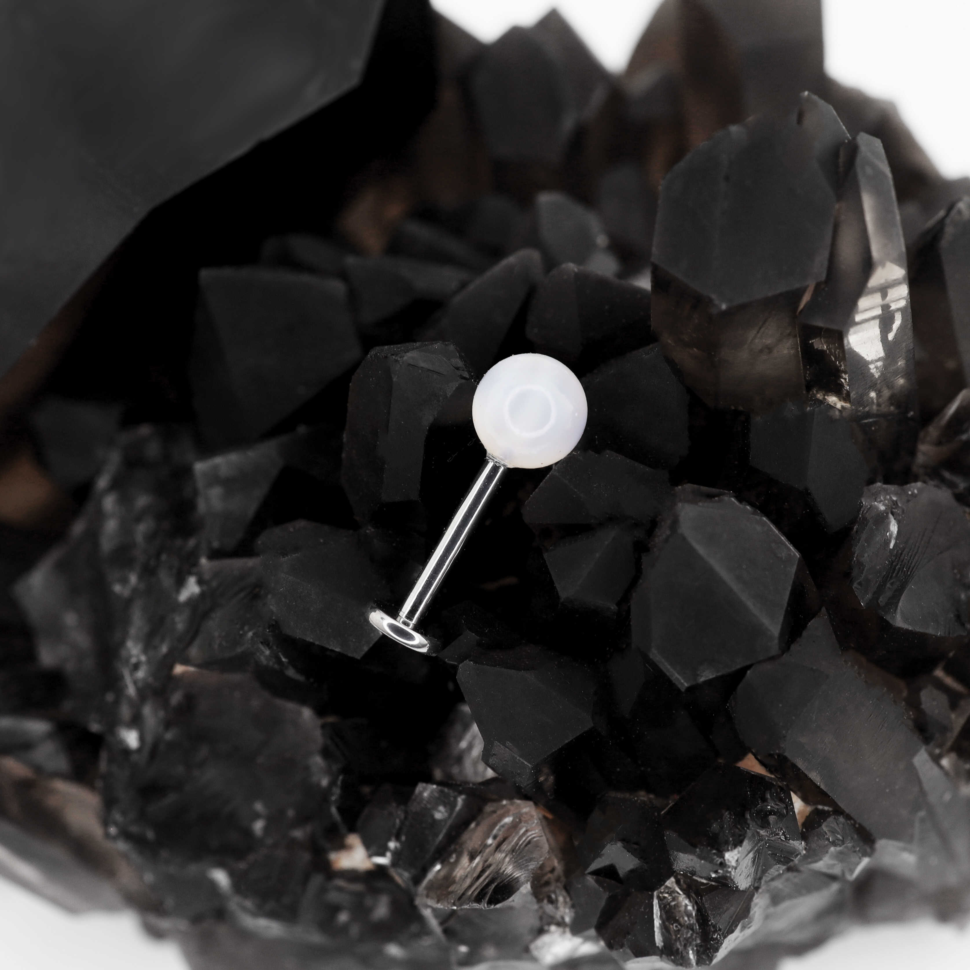 White butterfly shell pearl Internally Threaded Titanium Ear Studs - White butterfly shell pearl Internally Threaded Titanium Ear Studs - 6mm by CRUXJEWELRY