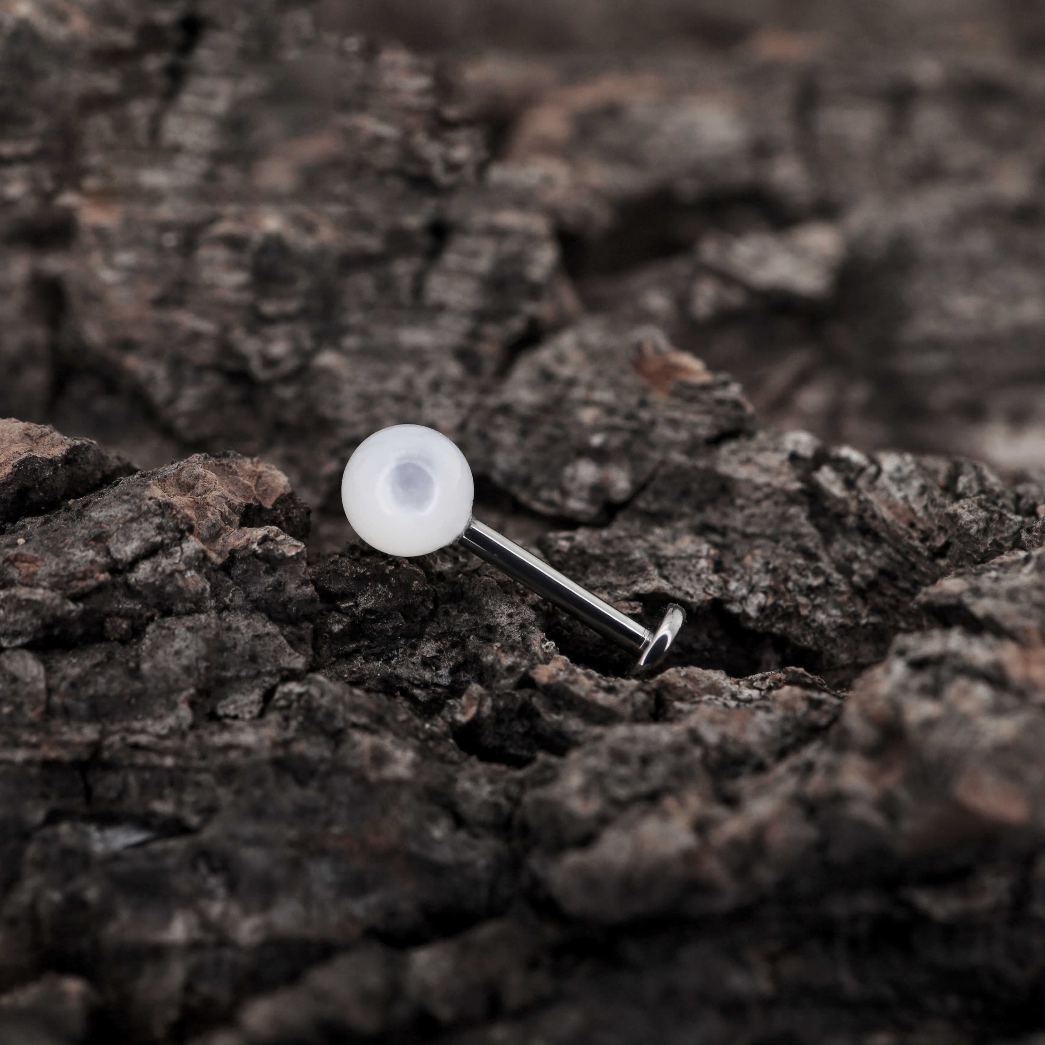 White butterfly shell pearl Internally Threaded Titanium Ear Studs - White butterfly shell pearl Internally Threaded Titanium Ear Studs - 6mm by CRUXJEWELRY