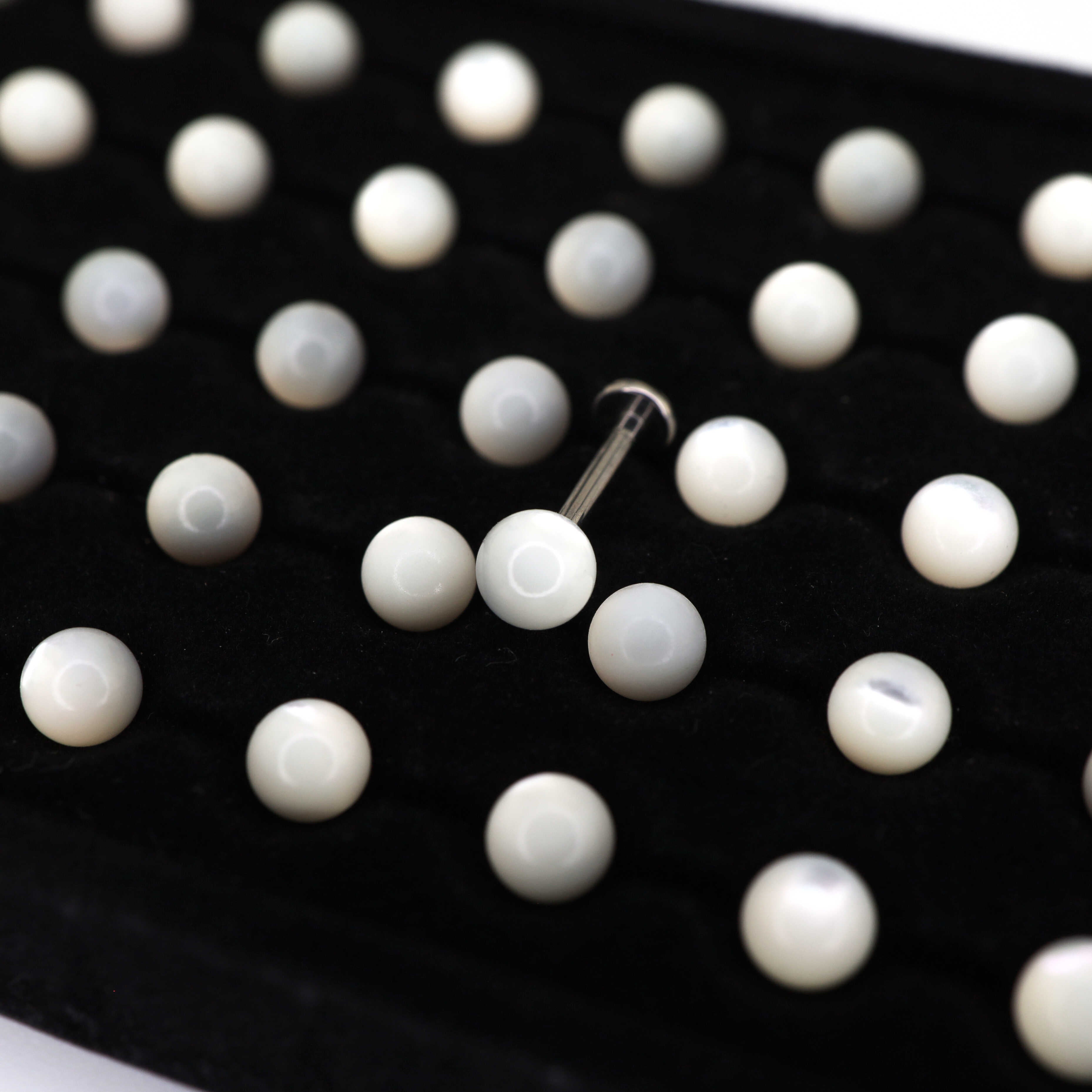 White butterfly shell pearl Internally Threaded Titanium Ear Studs - White butterfly shell pearl Internally Threaded Titanium Ear Studs - 6mm by CRUXJEWELRY