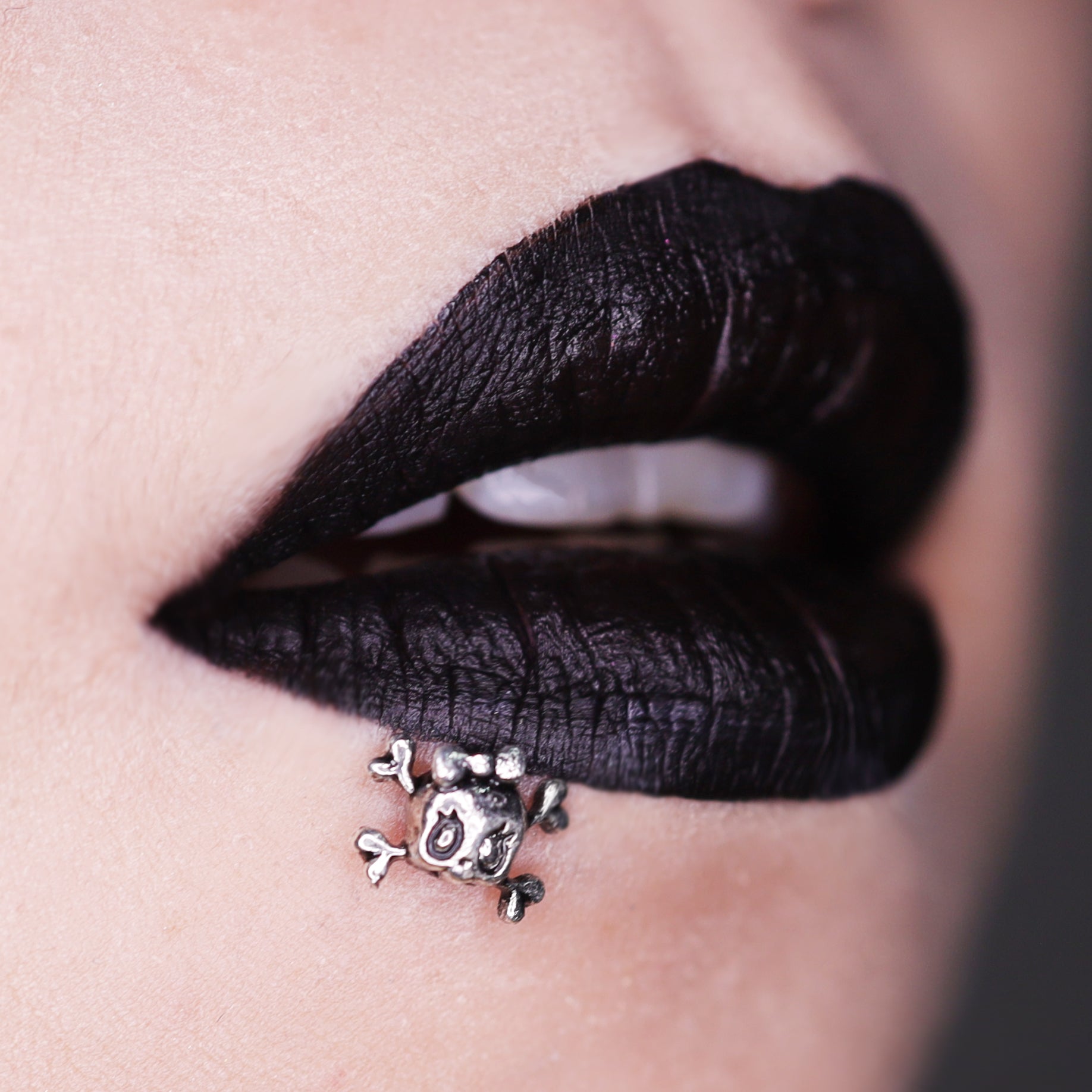 CRUX - Skull Bow Internally Threaded stainless steel Studs - CRUX - Skull Bow Internally Threaded stainless steel Studs - 6mm by CRUXJEWELRY