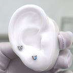 Mini CZ Cat Internally Threaded Titanium Studs - Mini CZ Cat Internally Threaded Titanium Studs - White / 5mm by CRUXJEWELRY