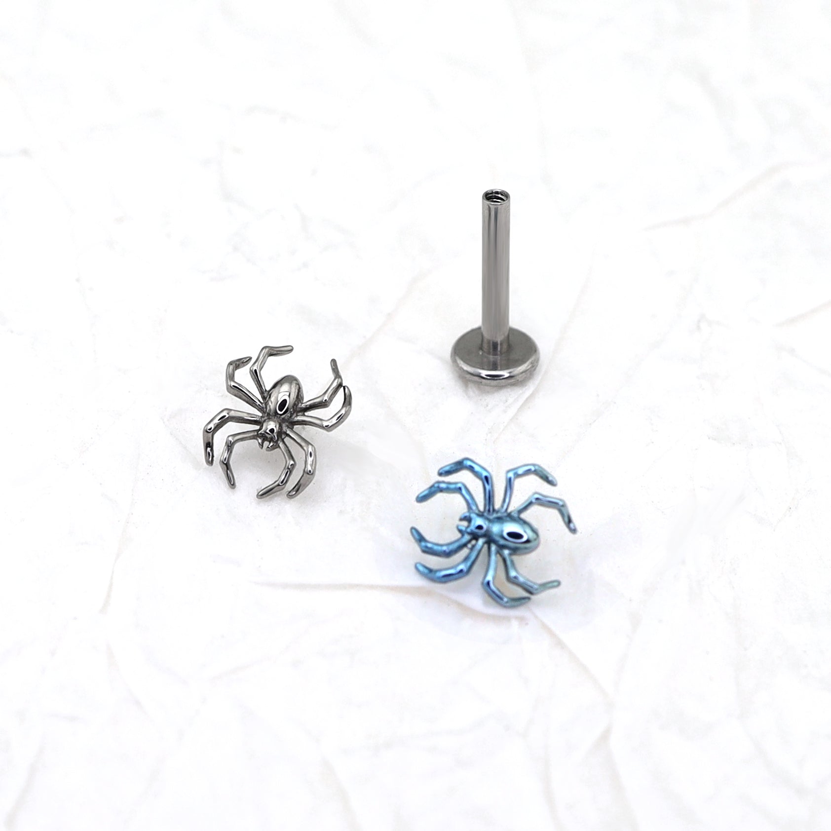 White&Blue Spider Titanium Internally Threaded Studs - White&Blue Spider Titanium Internally Threaded Studs - Sliver / 6mm by CRUXJEWELRY