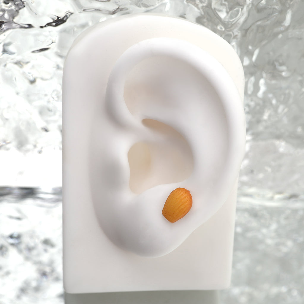 Star Baker - Seashell Pastry stainless steel Internally Threaded Studs - Star Baker - Seashell Pastry stainless steel Internally Threaded Studs - Single / 6mm by CRUXJEWELRY