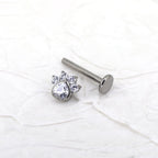 White CZ Cat Paw Titanium Studs - White CZ Cat Paw Titanium Studs - 6mm by CRUXJEWELRY