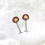 Paws & Purrs - Cute Brown Bear Ear Titanium Ear Stud - Paws & Purrs - Cute Brown Bear Ear Titanium Ear Stud - Single / 6mm by CRUXJEWELRY