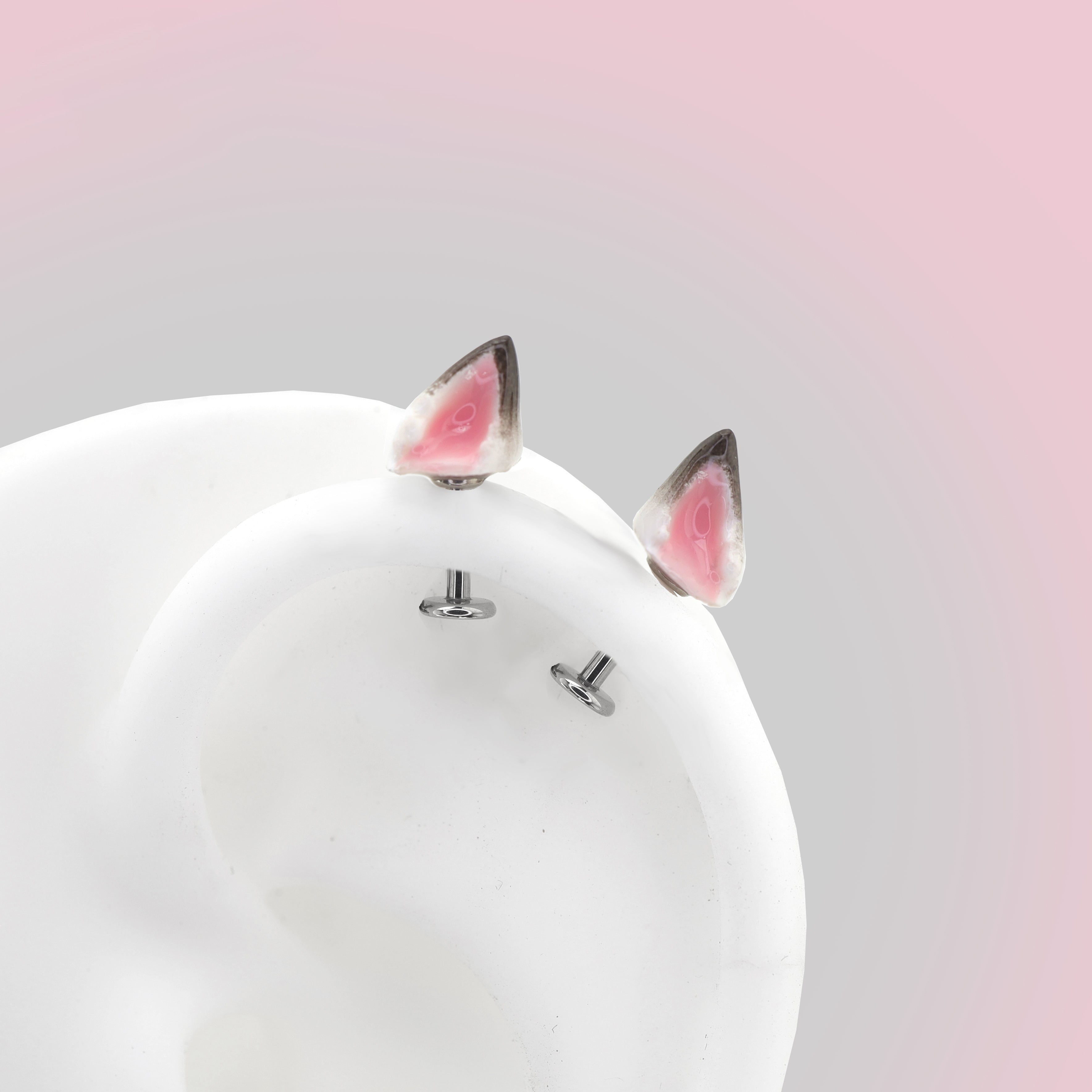 Paws & Purrs - PAIR OF Wolf Ear Internally Threaded Titanium Stud - Paws & Purrs - PAIR OF Wolf Ear Internally Threaded Titanium Stud - Flat-Back / 6mm by CRUXJEWELRY