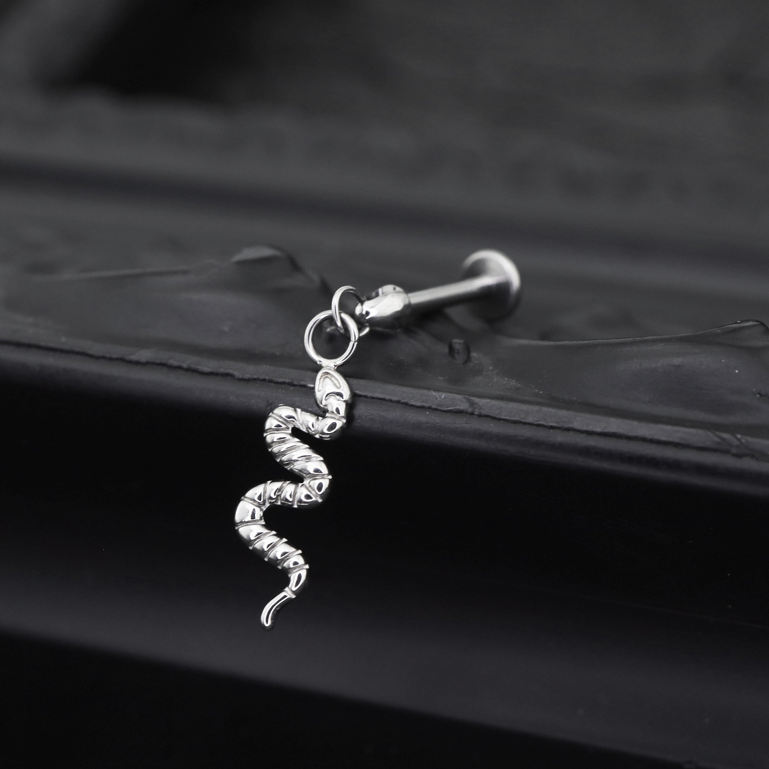 Playful Serpent Titanium Earring - Playful Serpent Titanium Earring - 6mm by CRUXJEWELRY