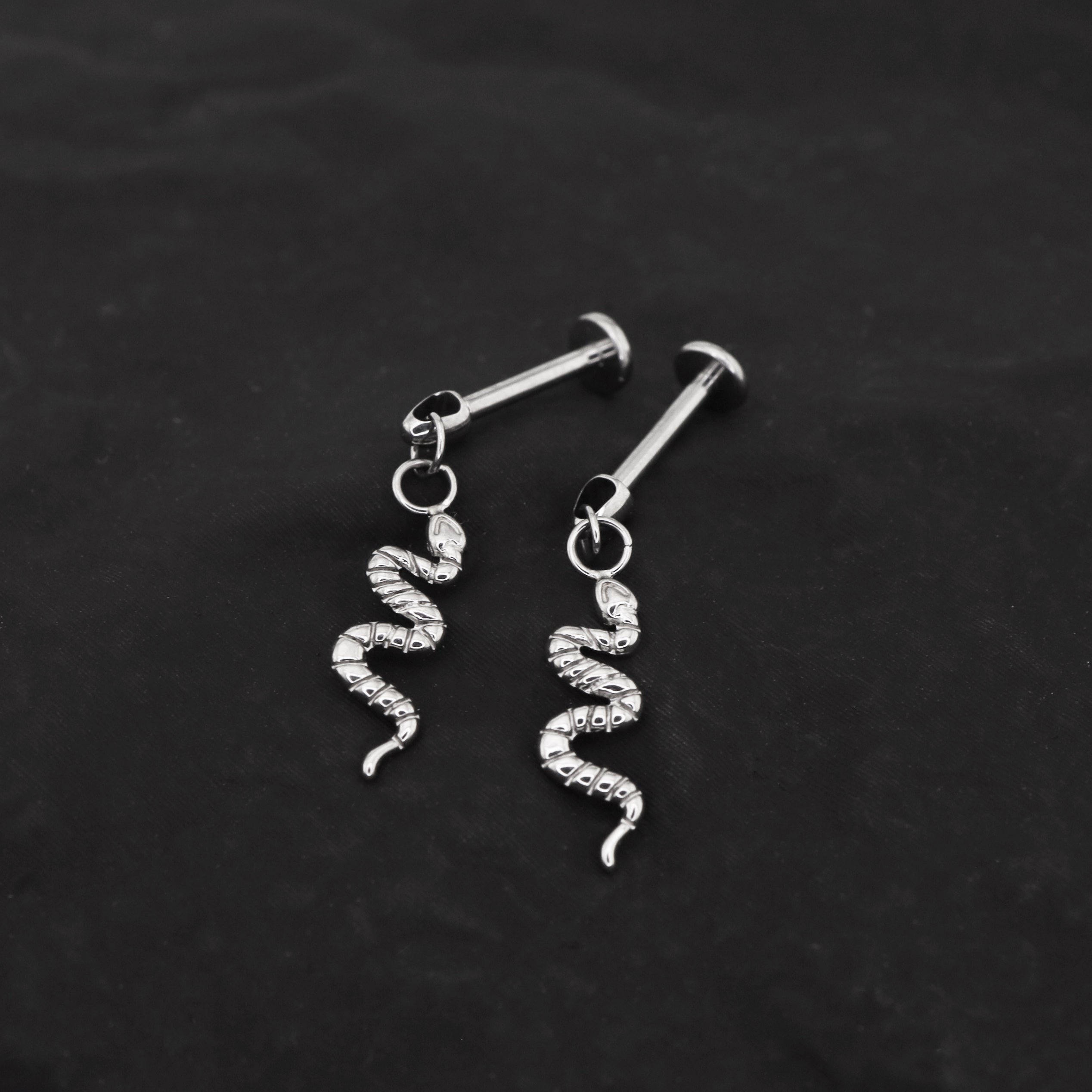 Playful Serpent Titanium Earring - Playful Serpent Titanium Earring - 6mm by CRUXJEWELRY