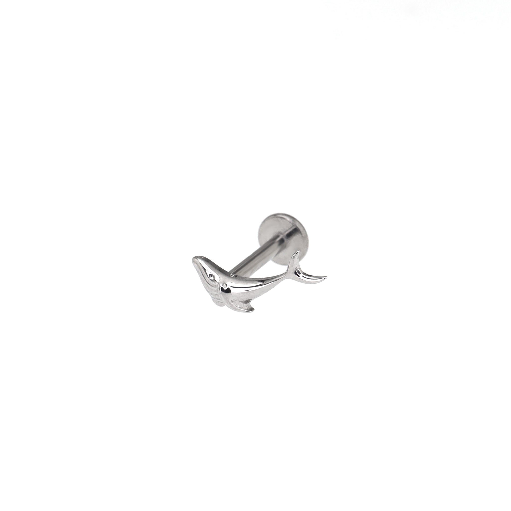 Engraved Whale Internally Threaded Titanium Ear Studs - Engraved Whale Internally Threaded Titanium Ear Studs - Sliver / 6mm by CRUXJEWELRY