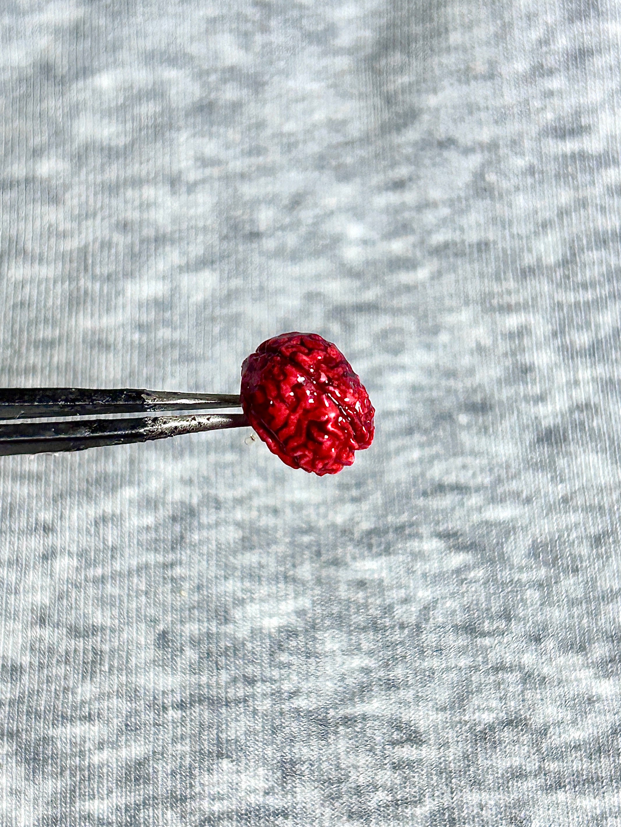 Cthulhu Eye - brain | Ear/Lip/Tongue Studs - Cthulhu Eye - brain | Ear/Lip/Tongue Studs - Flat-Back（Default） / 4mm by CRUXJEWELRY