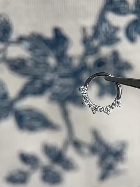 Titanium Graduated CZ Septum Clicker detail 2