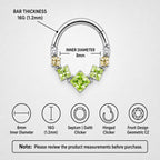 16G 8mm Titanium Crystal Cluster Clicker Ring | Hinged Hoop Septum Daith Helix Cartilage Piercing Jewelry Gift for Her Birthday