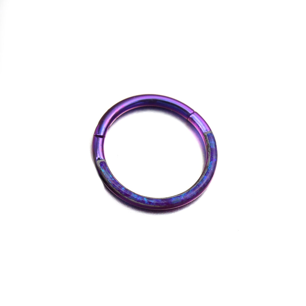 Basic Half Opal Titanium Segment Hoop - Basic Half Opal Titanium Segment Hoop - Deep Purple / 8mm by CRUXJEWELRY