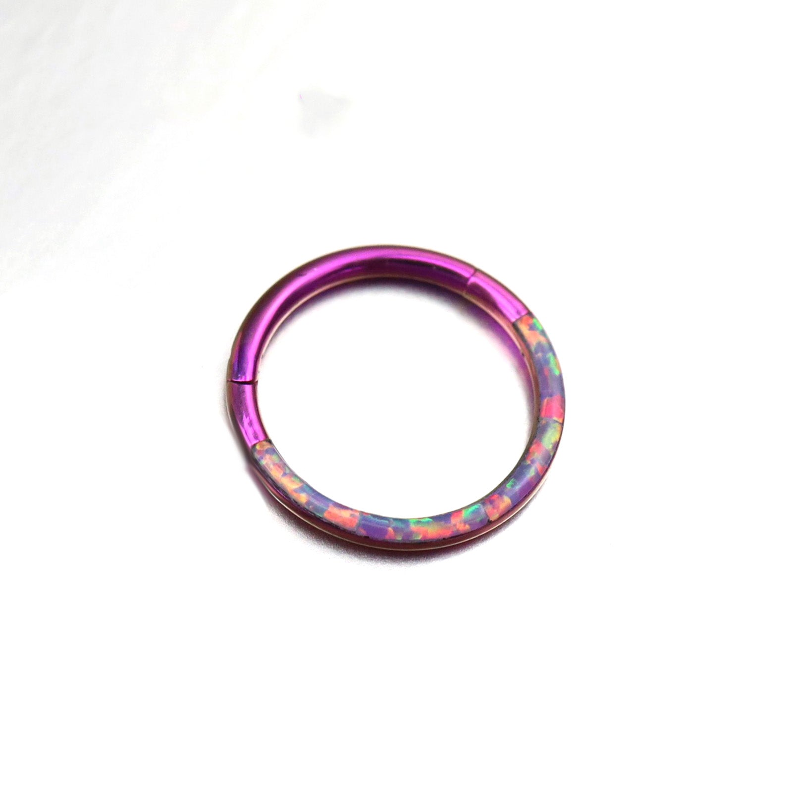 Basic Half Opal Titanium Segment Hoop - Basic Half Opal Titanium Segment Hoop - Purple / 8mm by CRUXJEWELRY