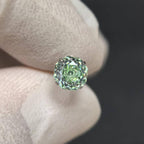 Rose Cut CZ Titanium Barbell detail 16