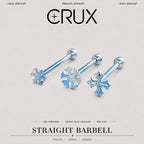 ETSY 4567134963 | IMAGE 1 | Snowflake Titanium Barbell